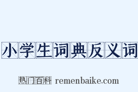 小学生词典反义词是什么意思的图片